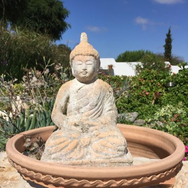 Buddha keeping a watchful eye in the garden